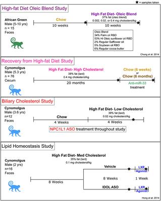 Dietary and Pharmacologic Manipulations of Host Lipids and Their Interaction With the Gut Microbiome in Non-human Primates